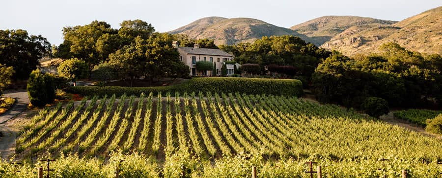 Bydand Wines - Napa Hidden Gems Bydand Wines - Napa Hidden Gems